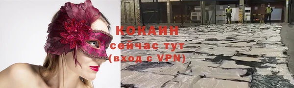 твердый Горняк