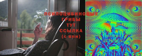 jwh Вяземский